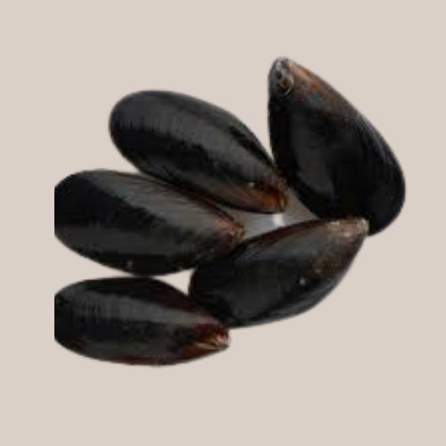 Frozen Mussel Whole Black 1kg Pkt بلح البحر كامل أسود Yamama Shop