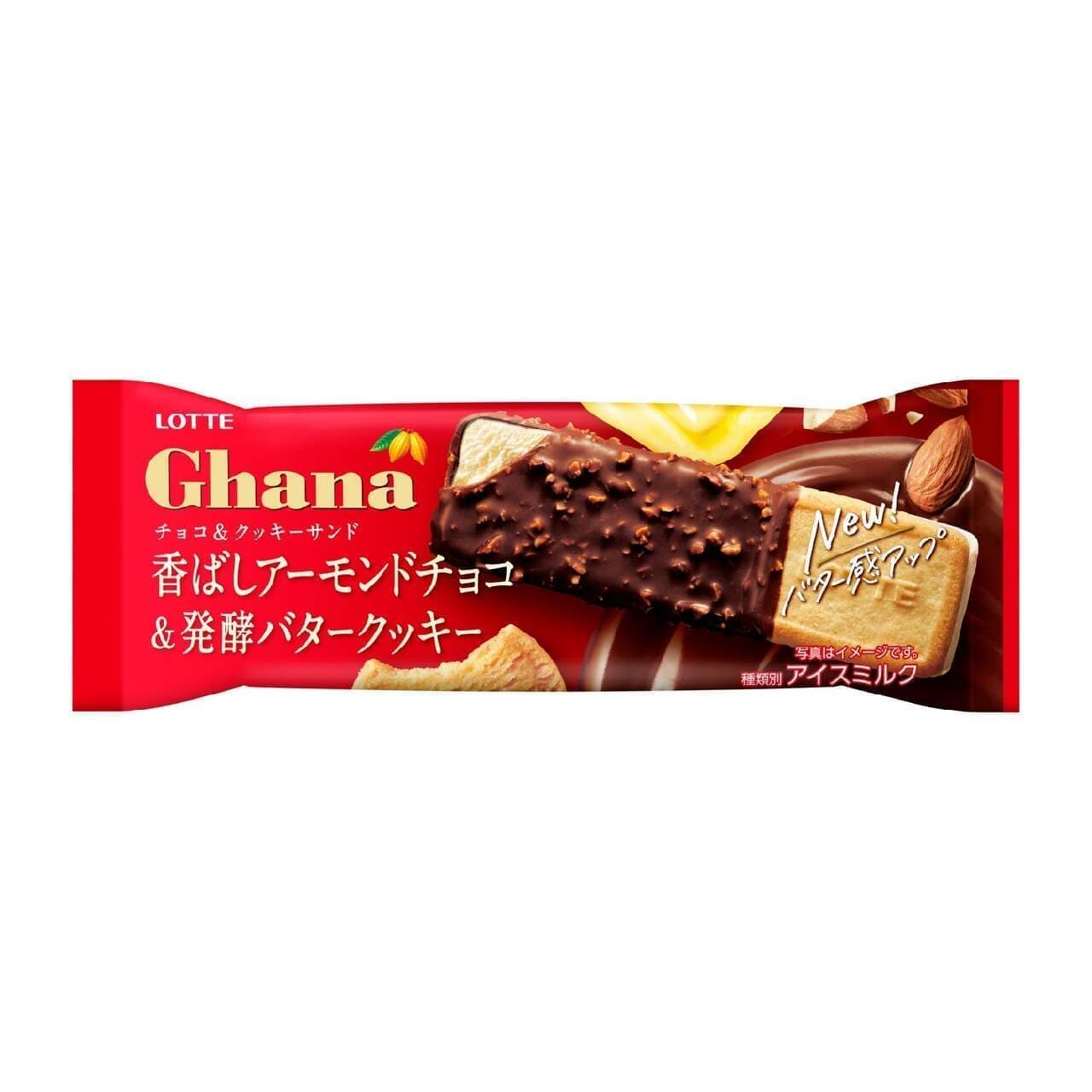 Lotte Ghana Choco And Cookie Sandwich