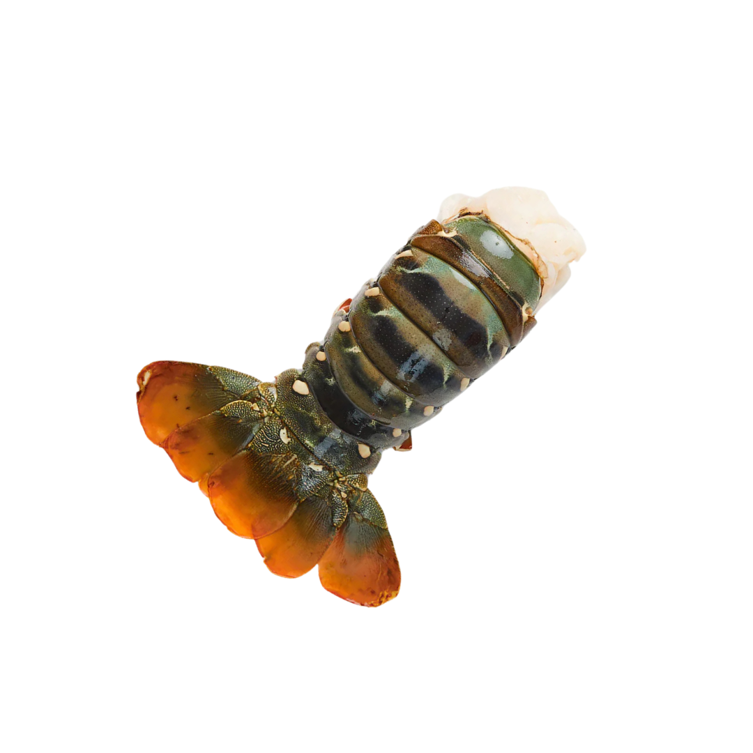 Yamama Lobster Tail 8/10 1Kg - Image 3
