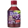 Asahi Welch's Grape 280ml