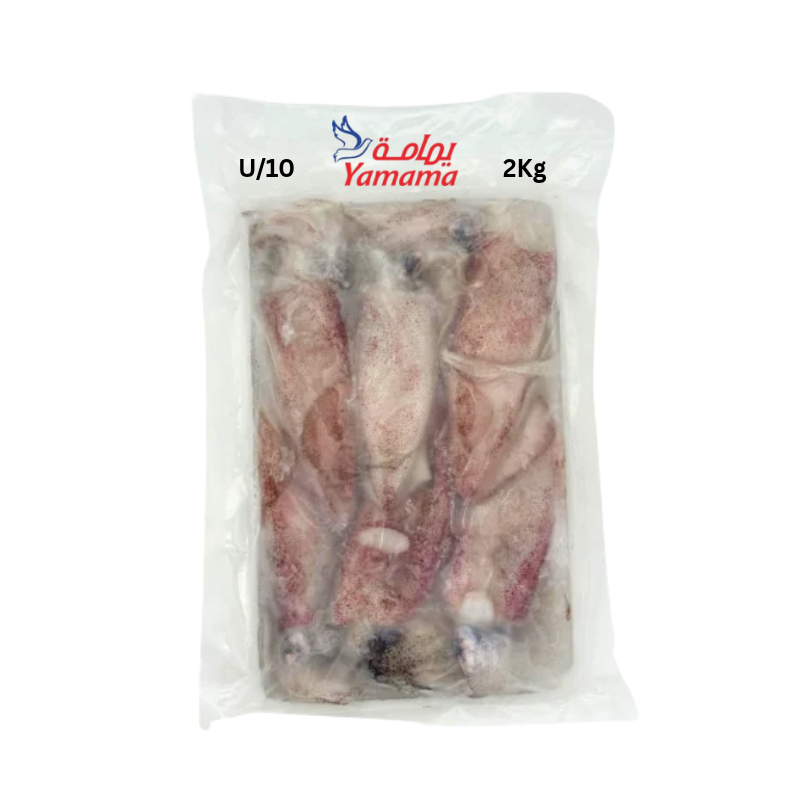 Yamama Frozen Squid Whole U/10 2Kg